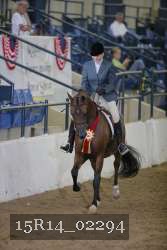 15R14_02294 thumbnail