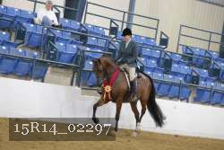 15R14_02297 thumbnail