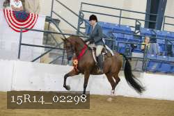 15R14_02298 thumbnail