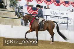 15R14_02299 thumbnail