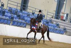 15R14_02300 thumbnail