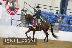 15R14_02301 thumbnail