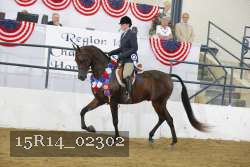 15R14_02302 thumbnail