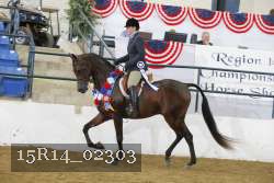 15R14_02303 thumbnail