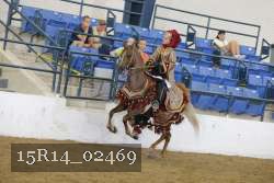 15R14_02469 thumbnail