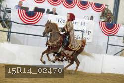 15R14_02470 thumbnail