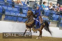 15R14_02472 thumbnail