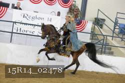 15R14_02478 thumbnail
