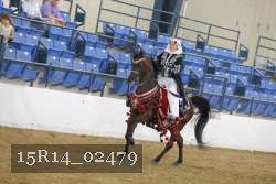 15R14_02479 thumbnail