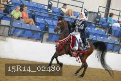 15R14_02480 thumbnail