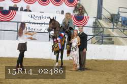 15R14_02486 thumbnail