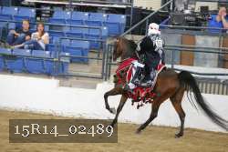 15R14_02489 thumbnail