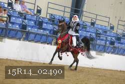 15R14_02490 thumbnail