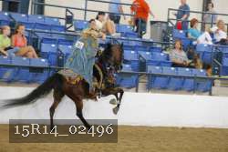 15R14_02496 thumbnail