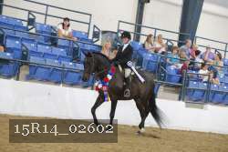 15R14_02602 thumbnail