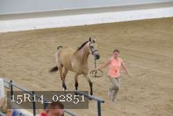 15R14_02851 thumbnail