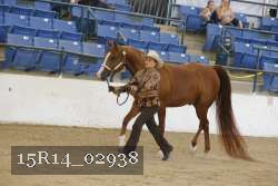 15R14_02938 thumbnail