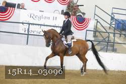 15R14_03096 thumbnail