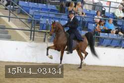 15R14_03134 thumbnail