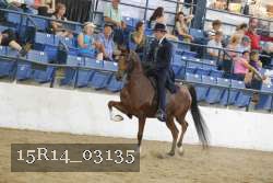 15R14_03135 thumbnail