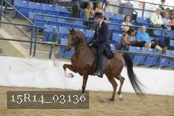15R14_03136 thumbnail