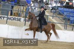 15R14_03137 thumbnail