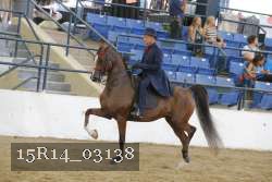 15R14_03138 thumbnail