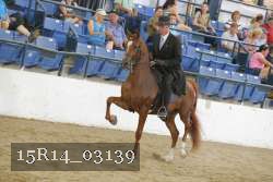 15R14_03139 thumbnail