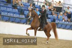 15R14_03140 thumbnail