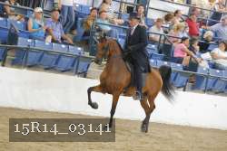 15R14_03141 thumbnail