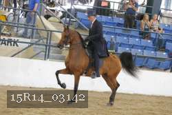 15R14_03142 thumbnail