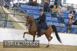 15R14_03143 thumbnail