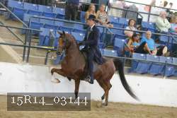 15R14_03144 thumbnail