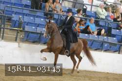 15R14_03145 thumbnail