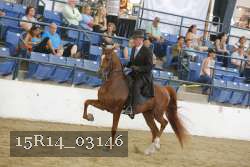 15R14_03146 thumbnail
