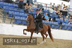 15R14_03147 thumbnail