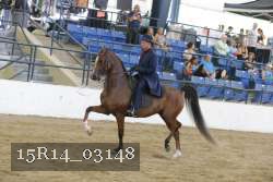 15R14_03148 thumbnail