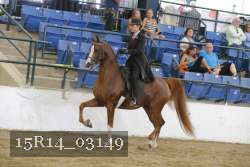 15R14_03149 thumbnail