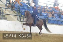15R14_03150 thumbnail