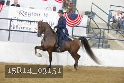 15R14_03151 thumbnail