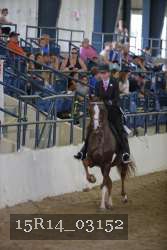15R14_03152 thumbnail