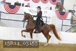 15R14_03155 thumbnail