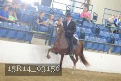15R14_03156 thumbnail