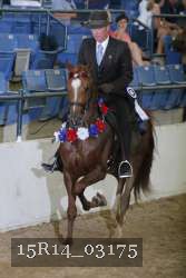 15R14_03175 thumbnail