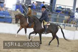 15R14_03333 thumbnail