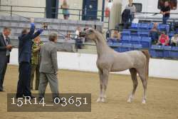 15R14_03651 thumbnail