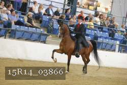 15R14_03866 thumbnail
