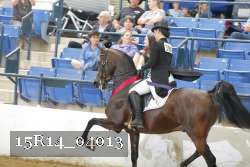 15R14_04013 thumbnail