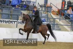 15R14_04041 thumbnail