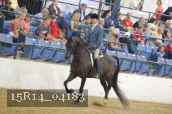 15R14_04183 thumbnail